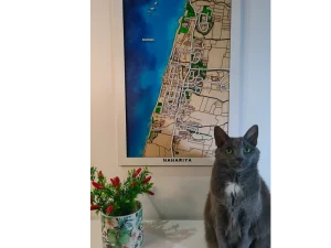 Map Nahariya